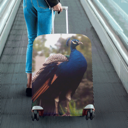 Peacock Rock Luggage Cover/Large 26"-28"