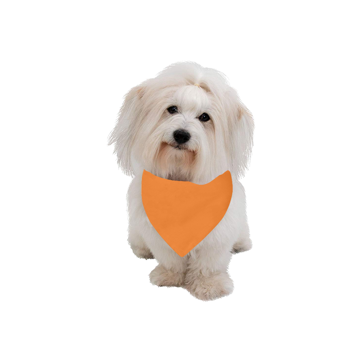 Color Solid Turmeric Pet Dog Bandana/Large Size