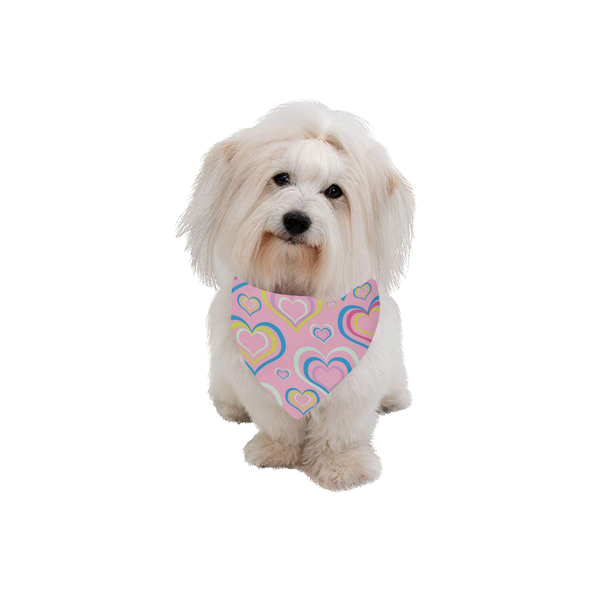 Sweet Hearts Pet Dog Bandana/Large Size