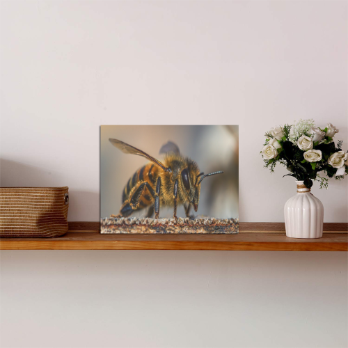 Bumble Bee Photo Panel for Tabletop Display 8"x6"