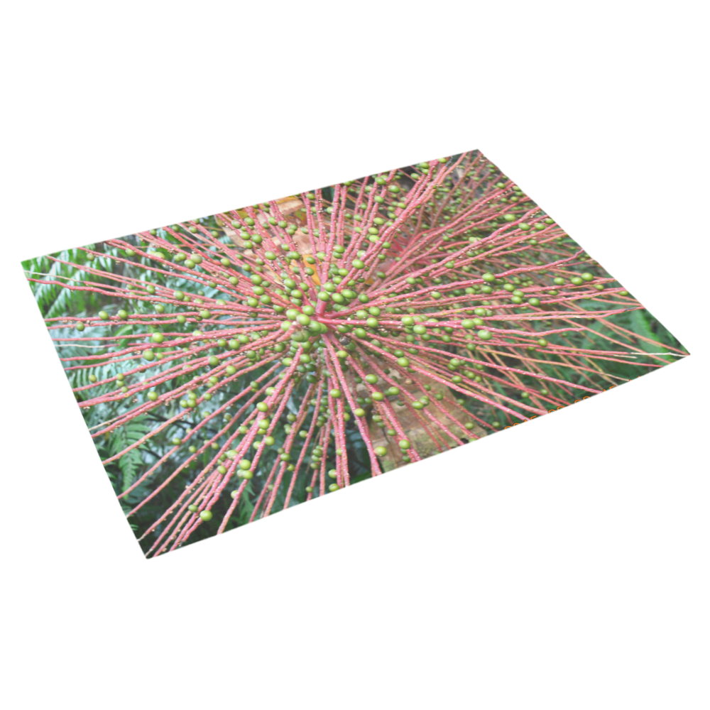 YS_0009 - Sierra Palm Seeds Azalea Doormat 30" x 18" (Sponge Material)