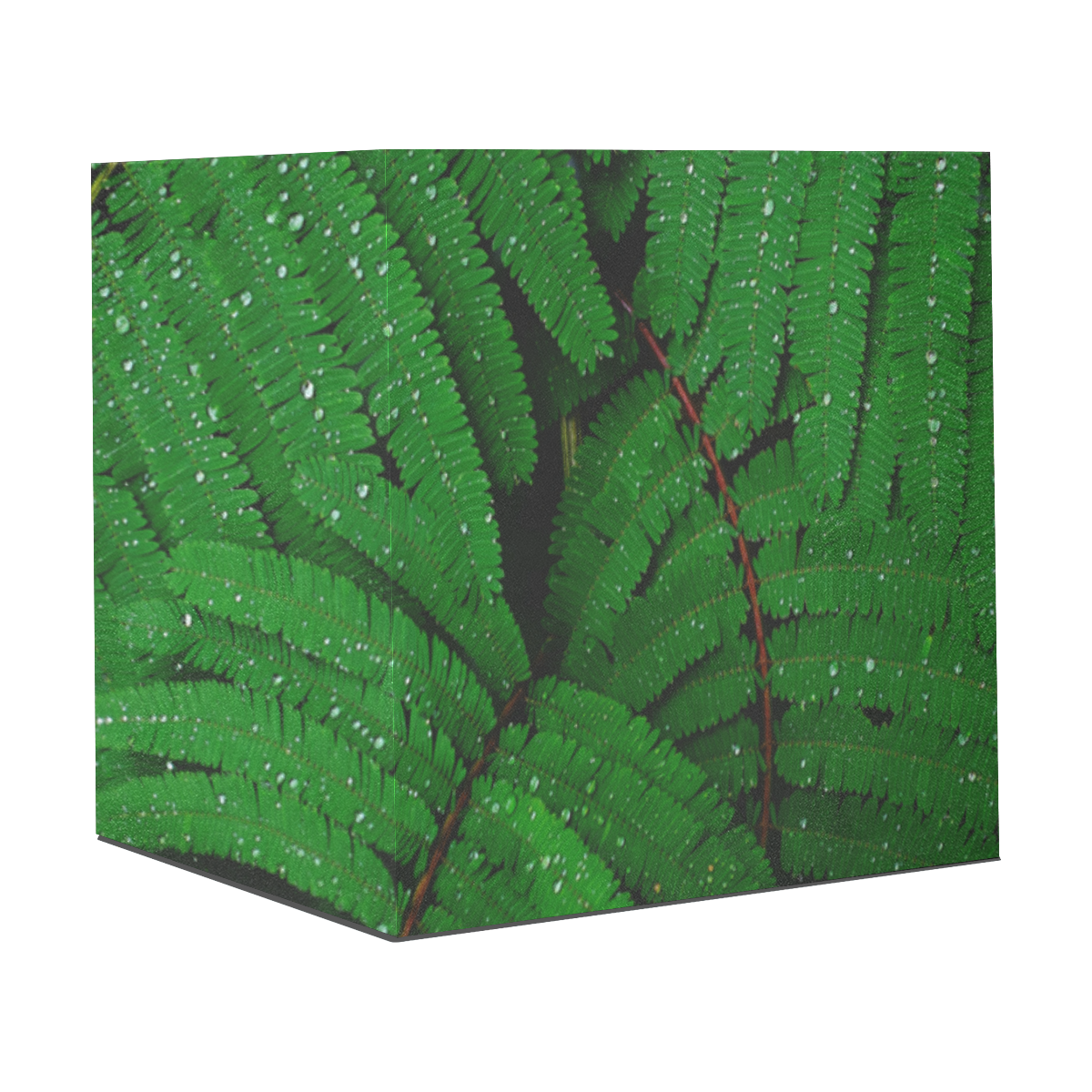 Forest Green Plants with Dew Photo Gift Wrapping Paper 58"x 23" (1 Roll)