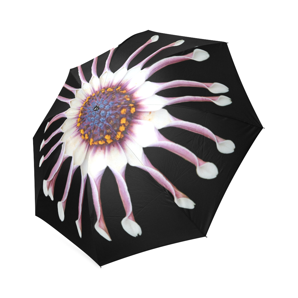 African Daisy on black Foldable Umbrella (Model U01)