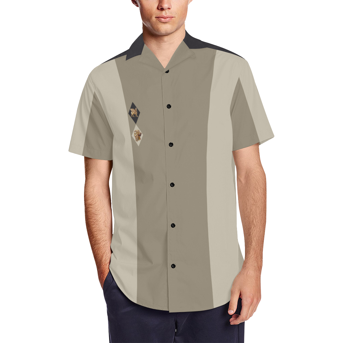 Casual Style Men's Short Sleeve Shirt with Lapel Collar (Model T54)