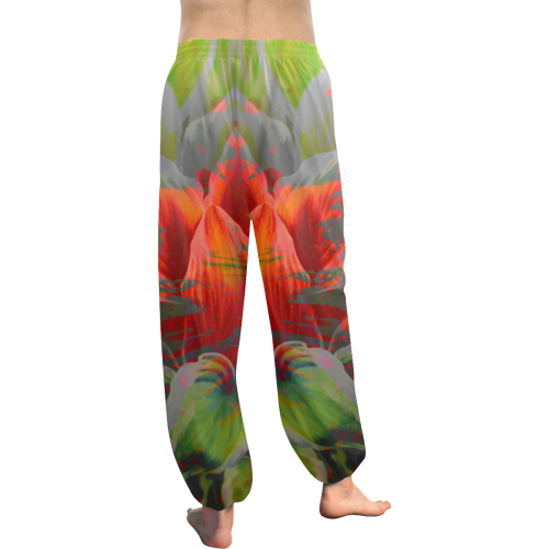 wheelVibe_vibe24 Women's All Over Print Harem Pants (Model L18)