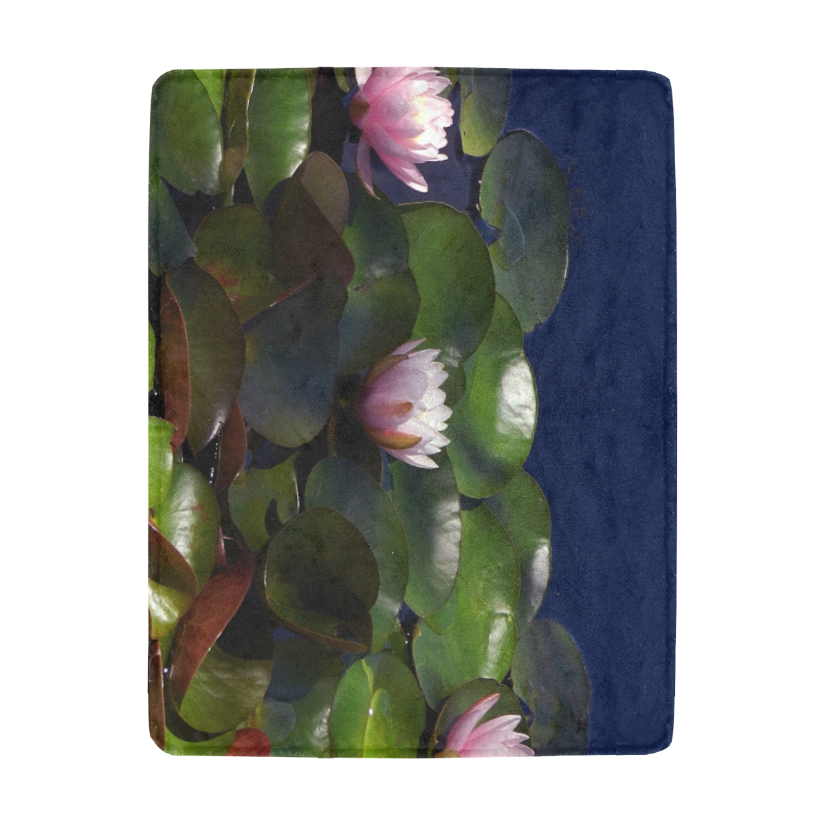 3 pink waterlilies in morning light Ultra-Soft Micro Fleece Blanket 43''x56''