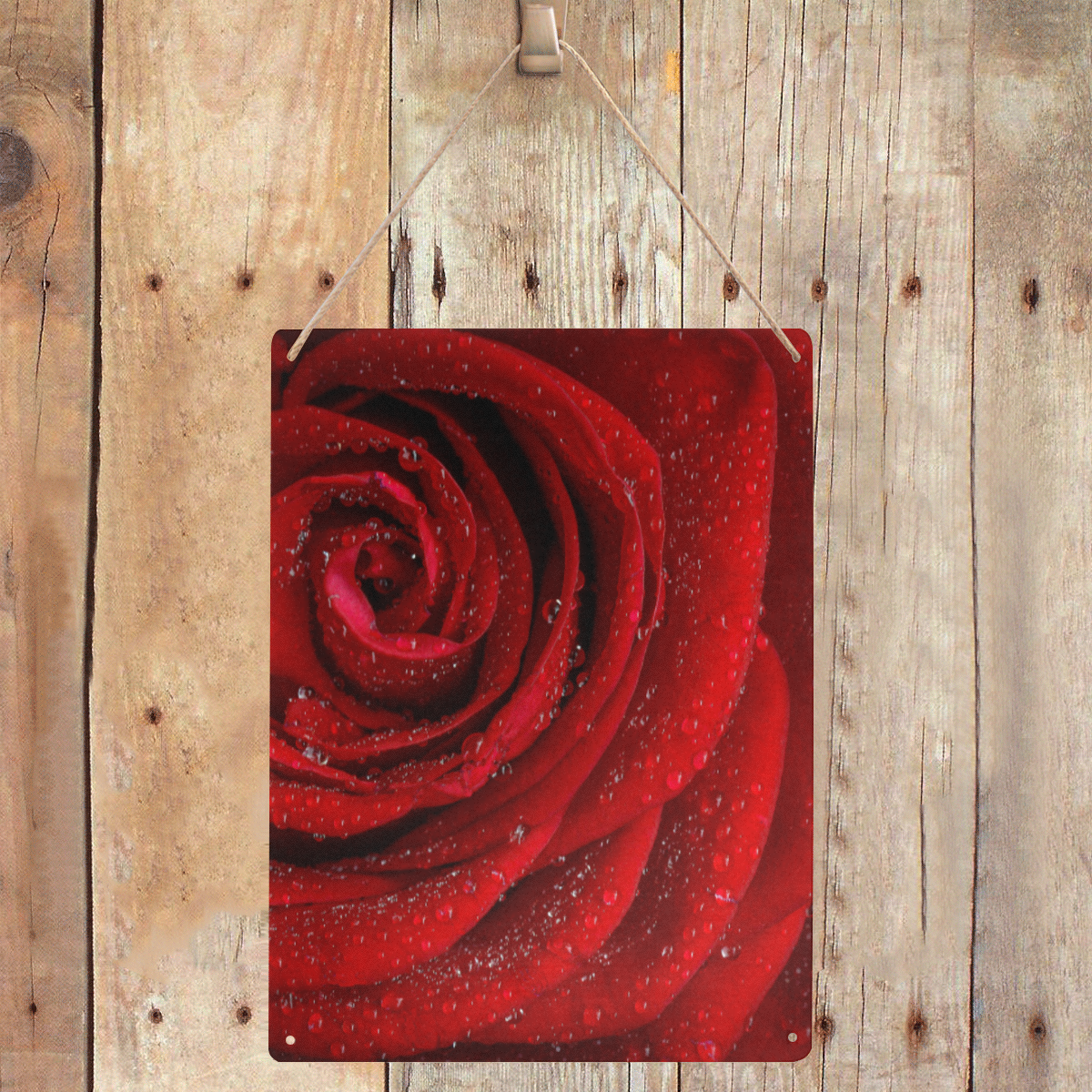 Red rosa Metal Sign 12"x16"