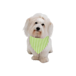 Lime Stripes Pet Dog Bandana/Large Size