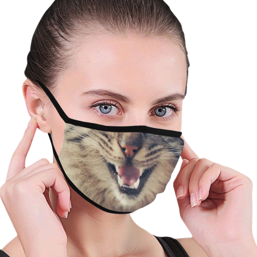 catface3 Mouth Mask