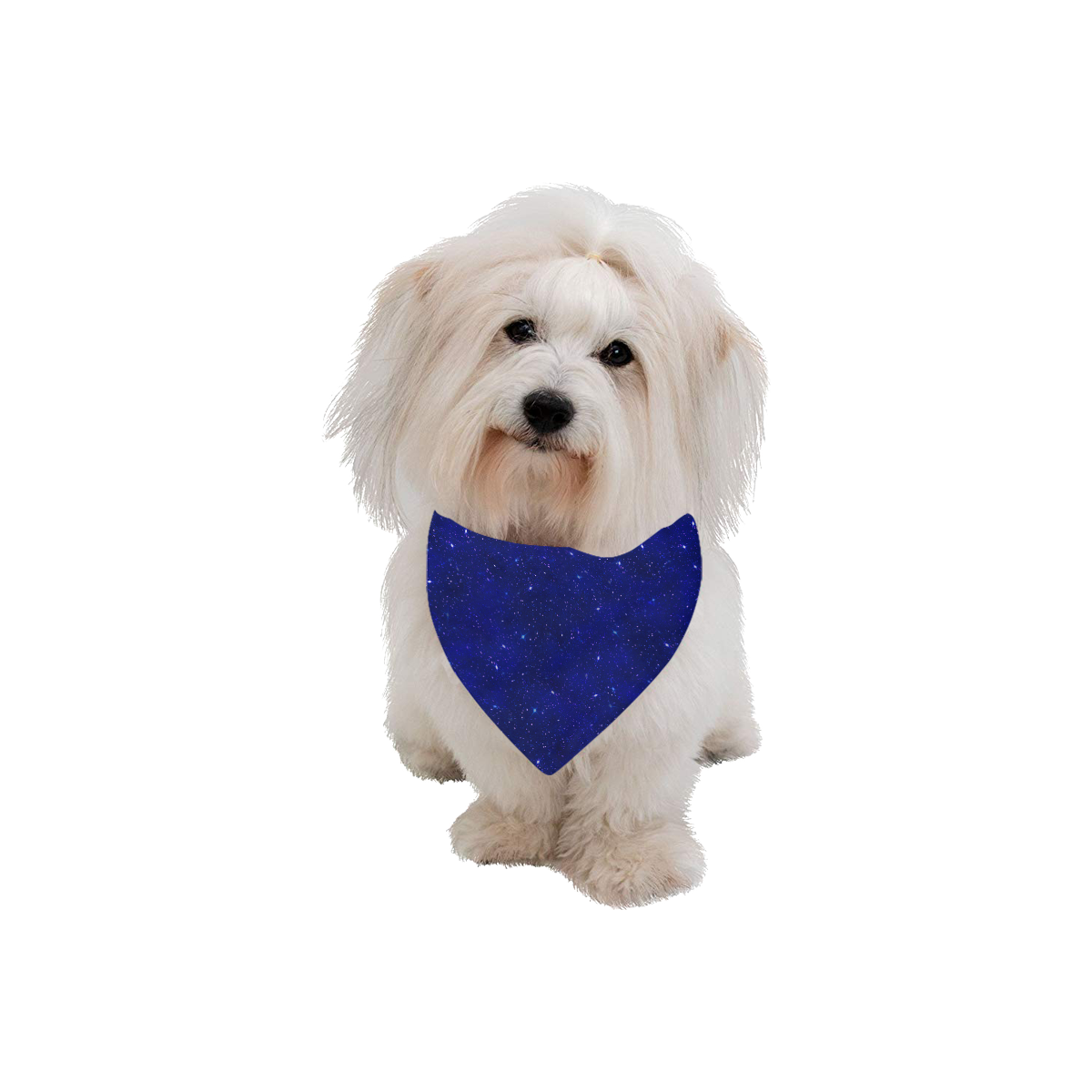 Sparkle Blue Pet Dog Bandana/Large Size