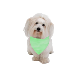 Mint Watercolor Pet Dog Bandana/Large Size