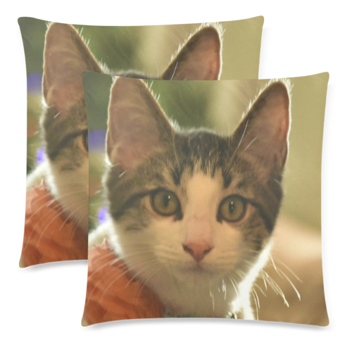 The young cat named Dante - Isabela PR - ID:DSC0053 Custom Zippered Pillow Cases 18"x 18" (Twin Sides) (Set of 2)