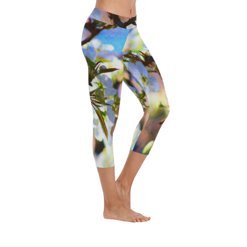 Pear Tree Blossoms Women's Low Rise Capri Leggings (Invisible Stitch) (Model L08)