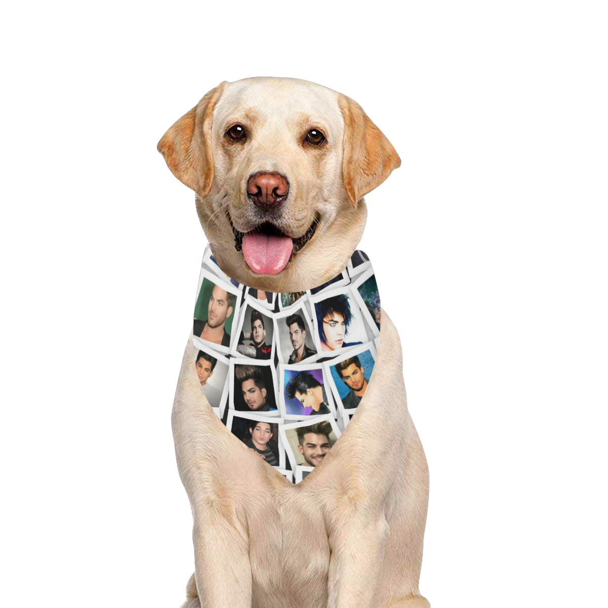 photovisi-download (16) Pet Dog Bandana/Large Size