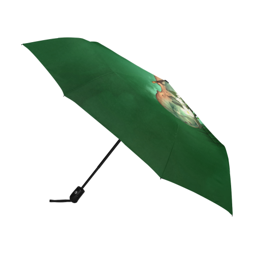 Violin with flowers Anti-UV Auto-Foldable Umbrella (U09)