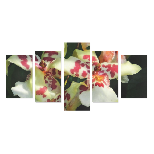 spotted orchids Canvas Print Sets C (No Frame)