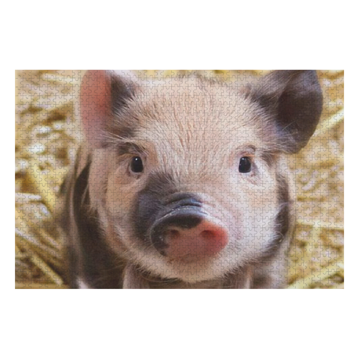 Adorable Baby - Piglet 1000-Piece Wooden Photo Puzzles