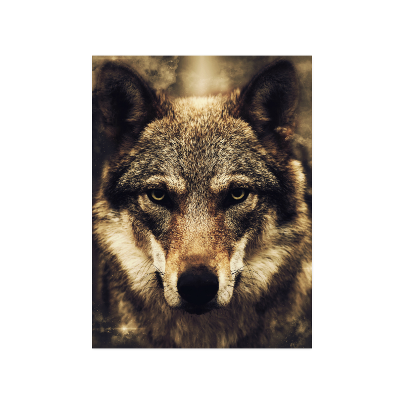Wolf 2 Animal Nature Poster 18"x24"