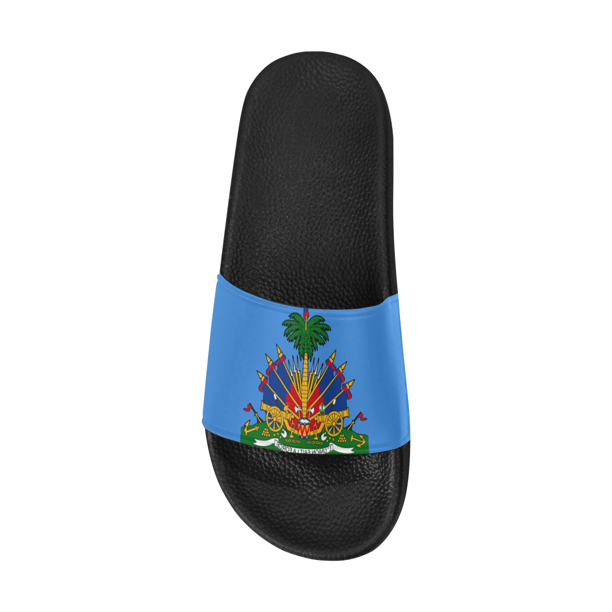 HAITIAN flag Men's Slide Sandals (Model 057)