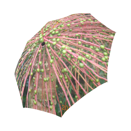YS_0013  -  Sierra Palm Seeds Auto-Foldable Umbrella (Model U04)