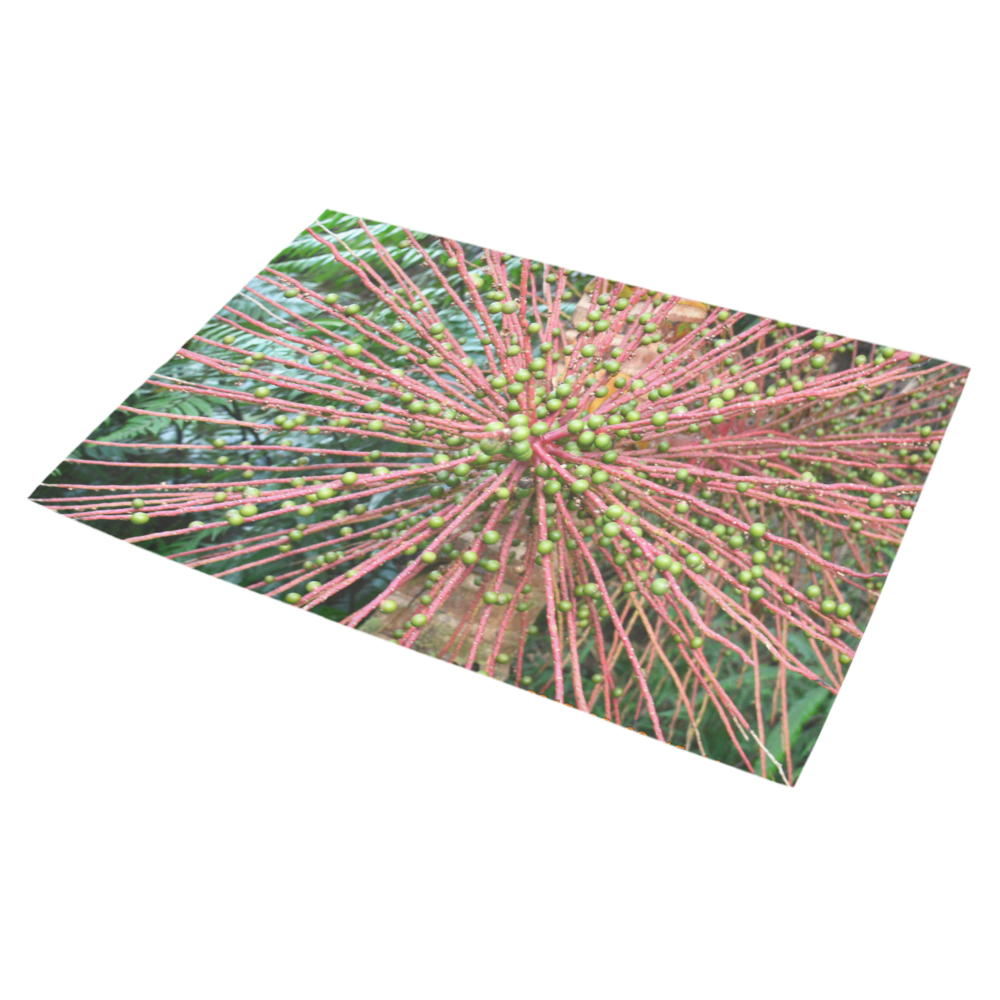 YS_0009 - Sierra Palm Seeds Azalea Doormat 30" x 18" (Sponge Material)