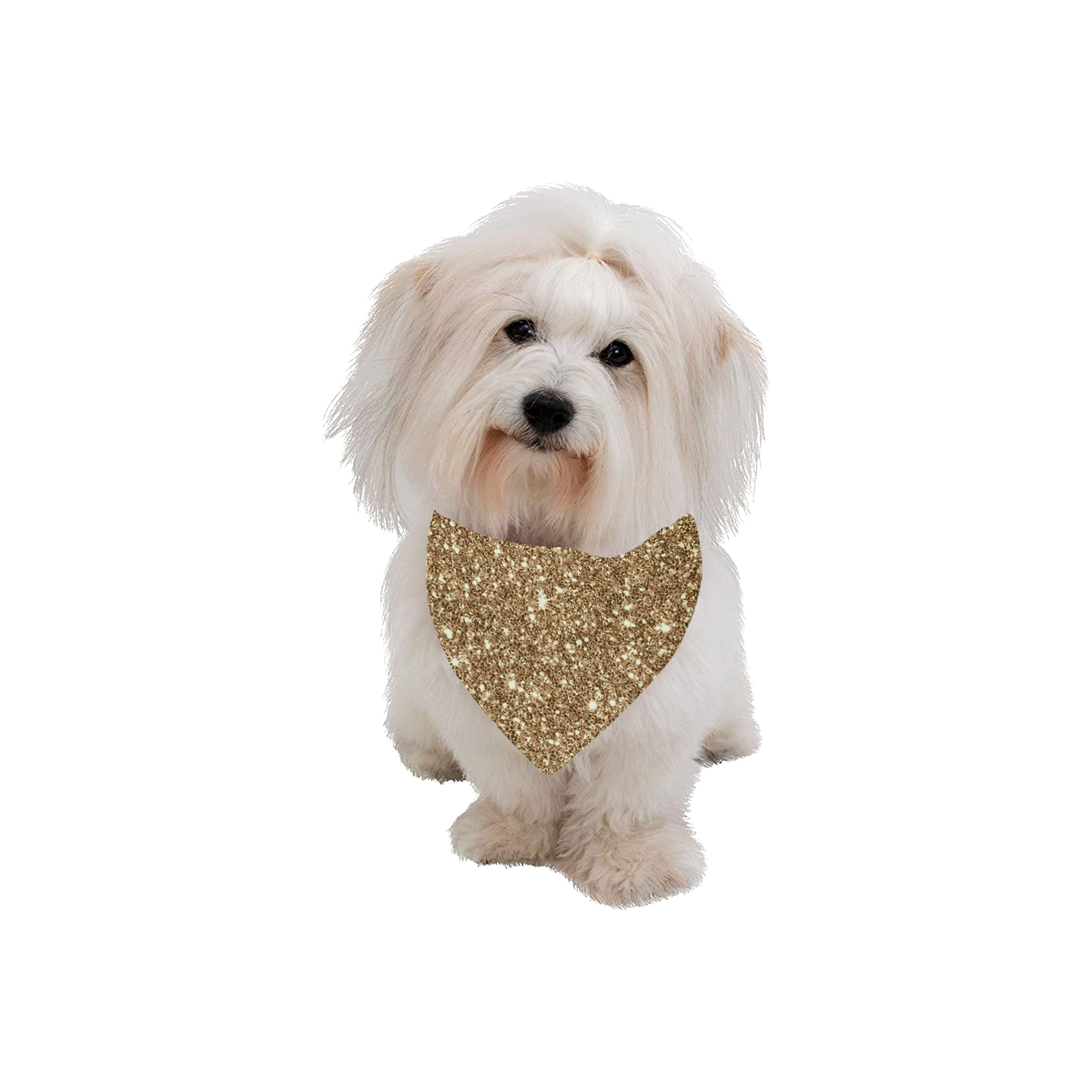 New Sparkling Glitter Print H by JamColors Pet Dog Bandana/Large Size