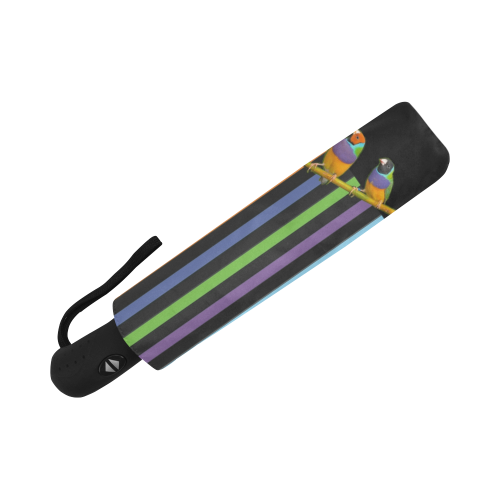 Rainbow Stripes and Birds Auto-Foldable Umbrella (Model U04)