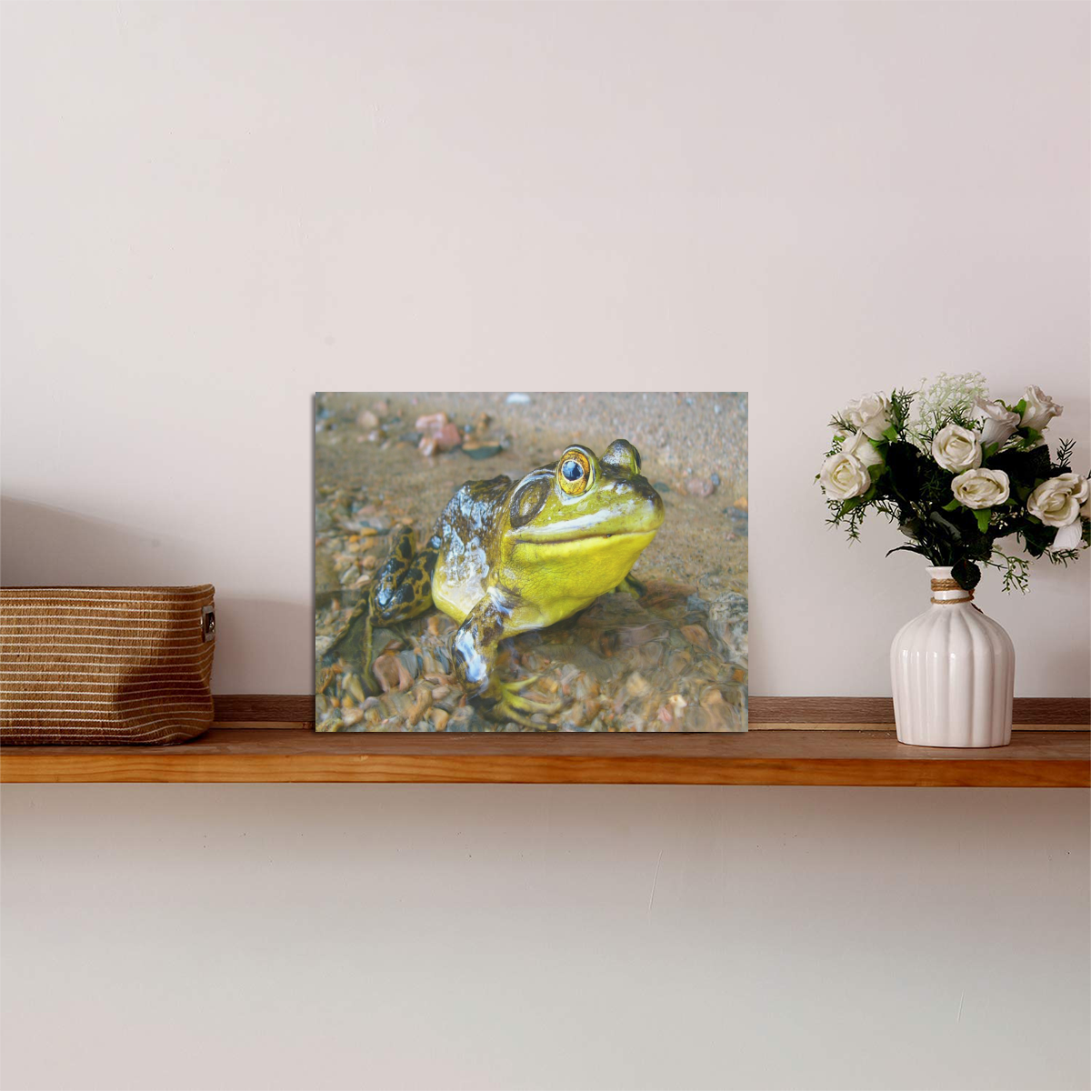 Green Frog Adventure Photo Panel for Tabletop Display 8"x6"