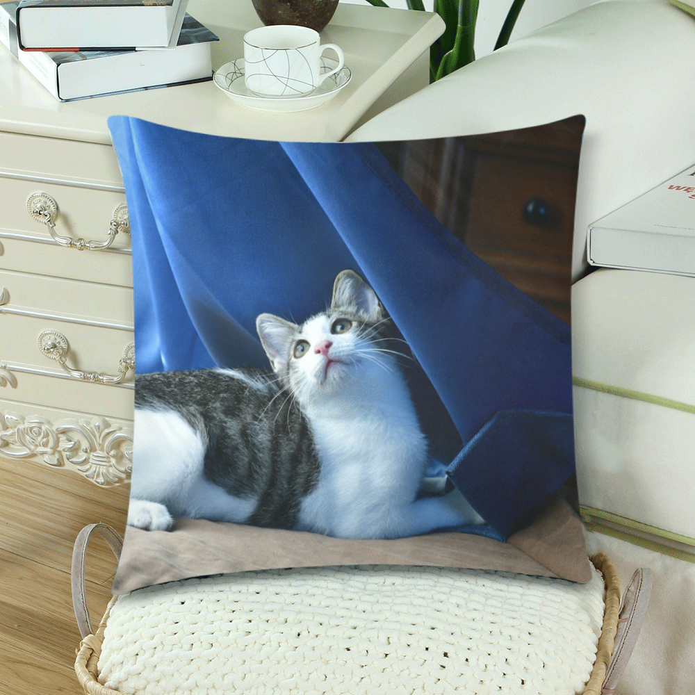 The young cat named Dante in Isabela Puerto Rico - ID:DSC7989 Custom Zippered Pillow Cases 18"x 18" (Twin Sides) (Set of 2)