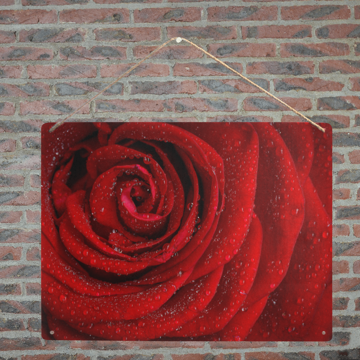 Red rosa Metal Sign 16"x12"