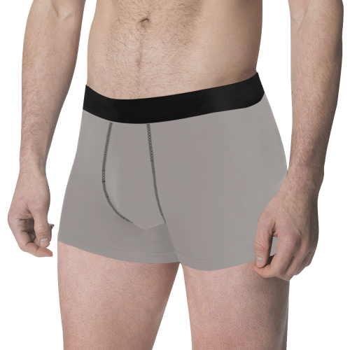 Ash Men's Classic Boxer Briefs (Model L34)