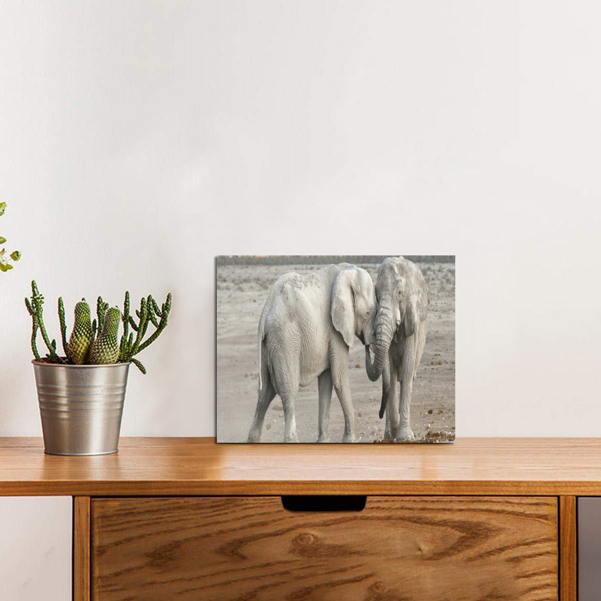 Elephant Love Photo Panel for Tabletop Display 8"x6"