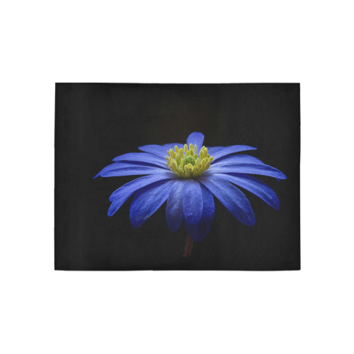 anemone Area Rug 5'3''x4'