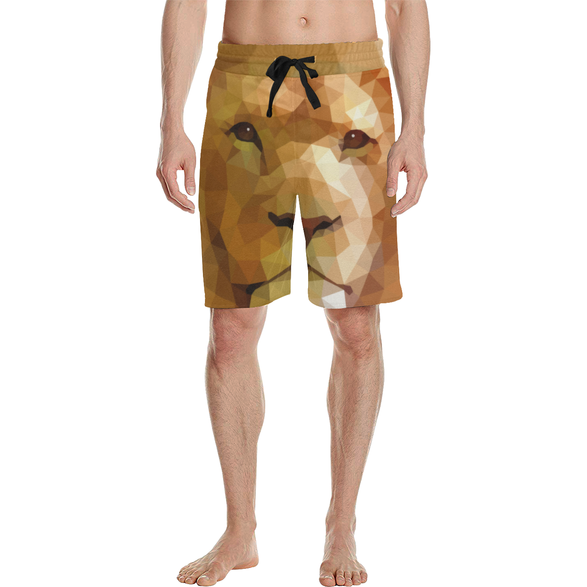 Polymetric Lion Men's All Over Print Casual Shorts (Model L23)