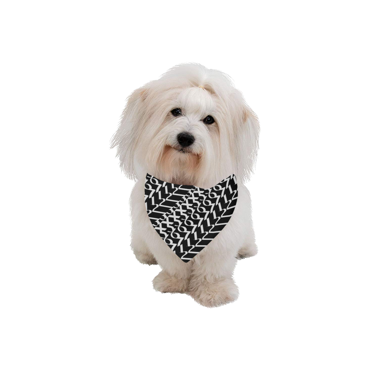 NUMBERS Collection 1234567 Black/White Pet Dog Bandana/Large Size