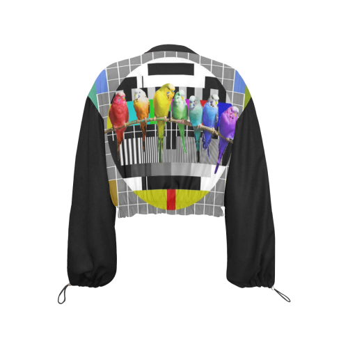 Test Card Rainbow Budgies Cropped Chiffon Jacket for Women (Model H30)