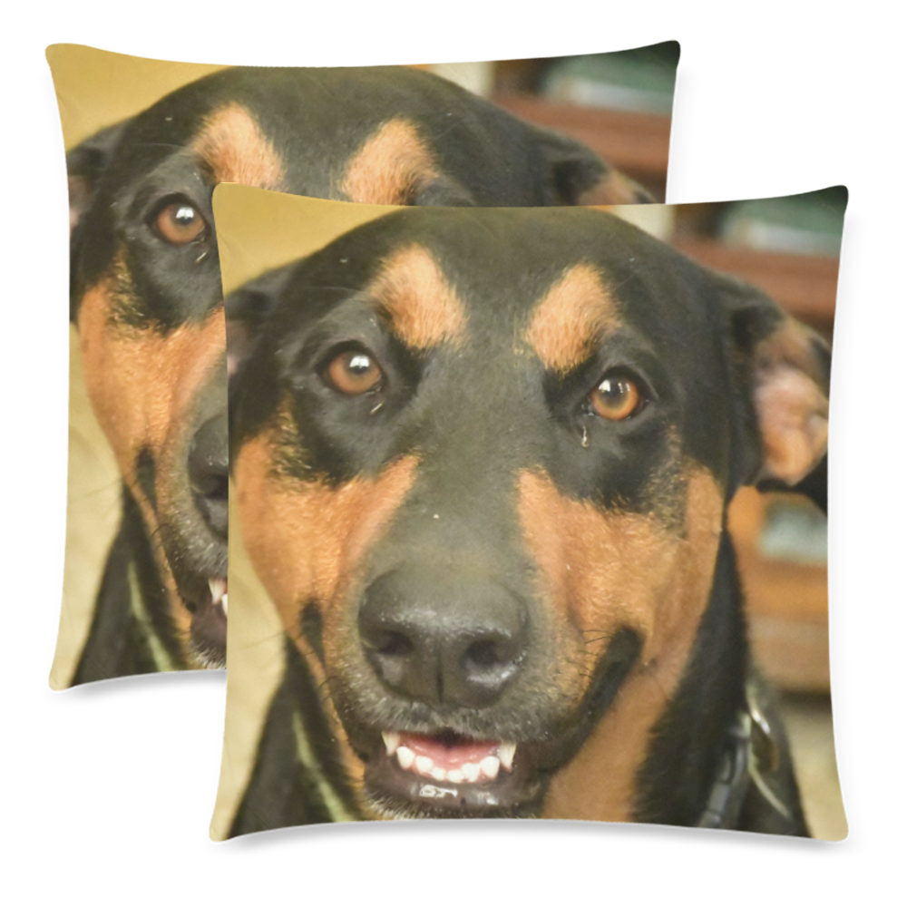 The explorer dog Named Firo - Isabela Puerto Rico - DSC0514 Custom Zippered Pillow Cases 18"x 18" (Twin Sides) (Set of 2)