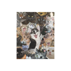 Crazy Kitten Show Quilt 40"x50"