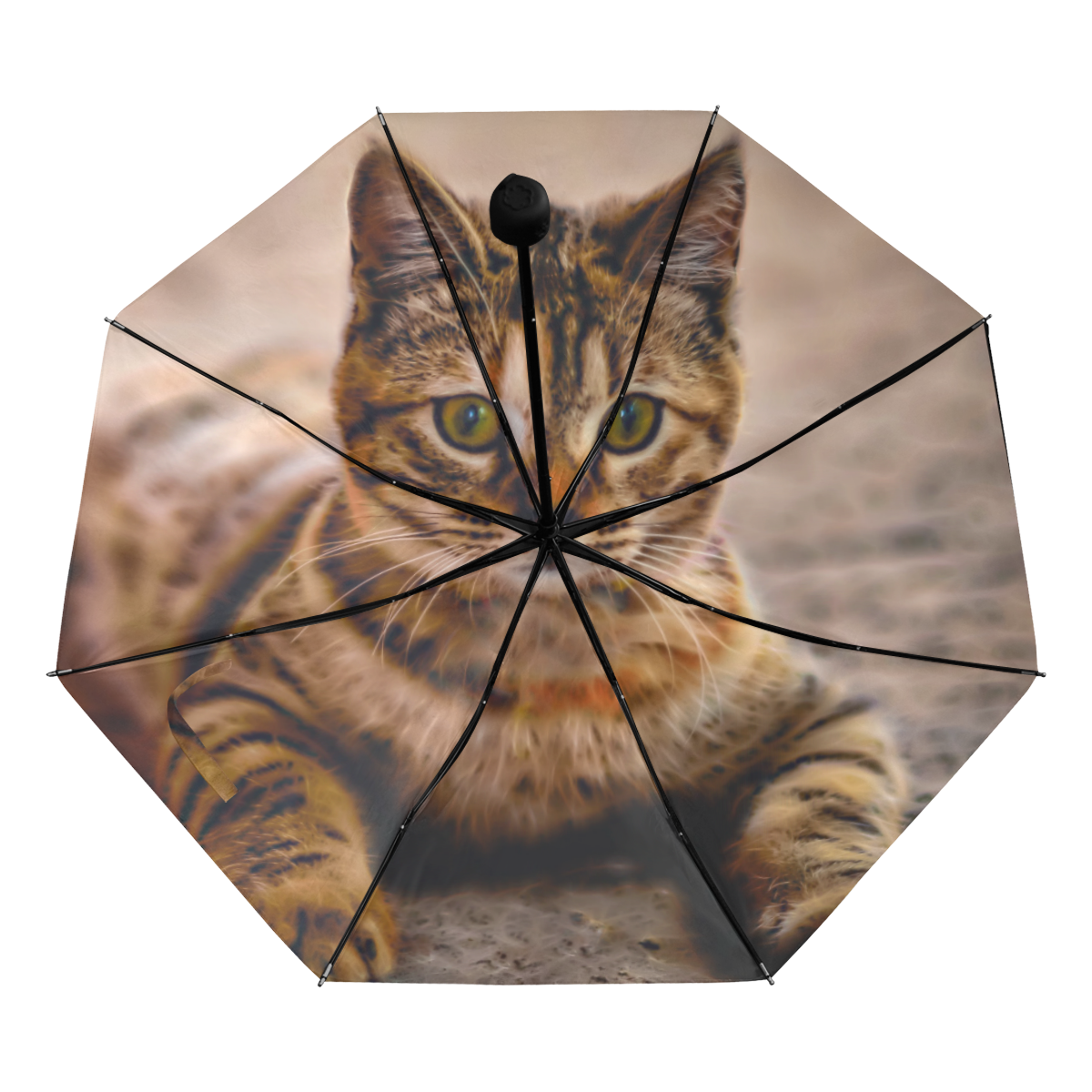 Cute Pretty Little Kitty Cat Anti-UV Foldable Umbrella (Underside Printing) (U07)