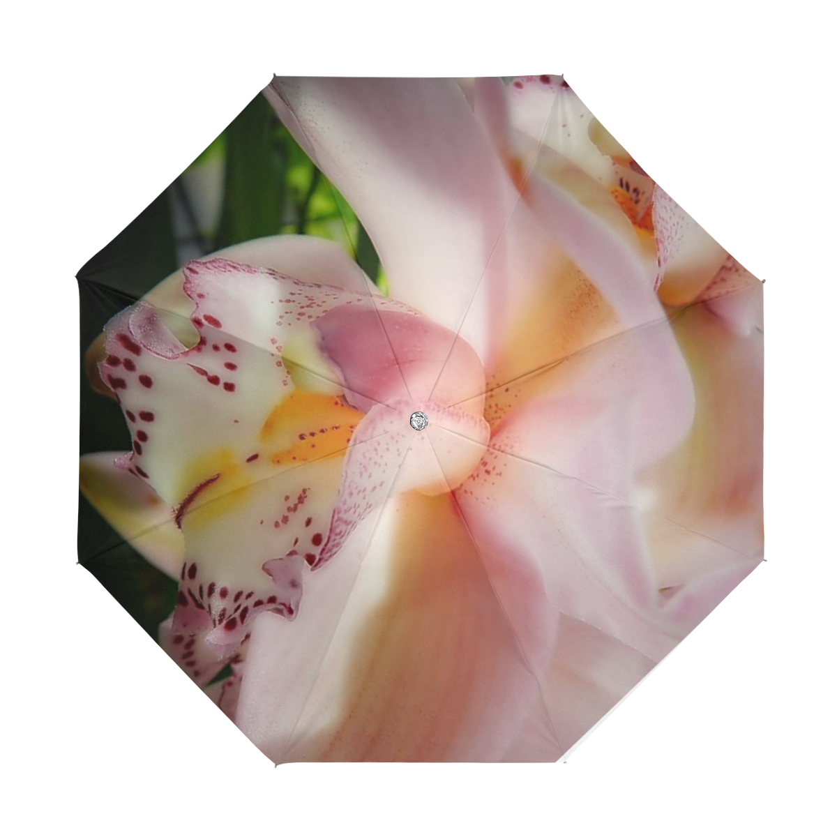 pink orchid Anti-UV Foldable Umbrella (U08)
