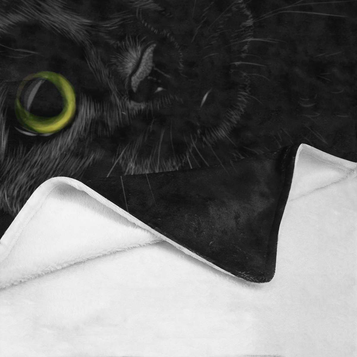 Black Cat Ultra-Soft Micro Fleece Blanket 70''x80''
