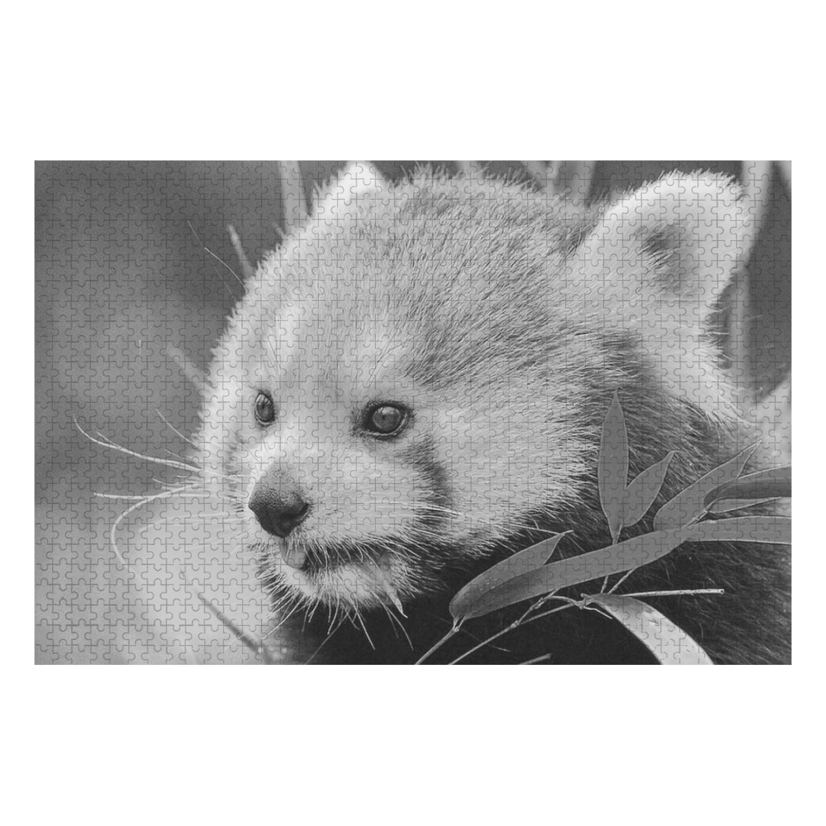 red panda b&w 1000-Piece Wooden Photo Puzzles