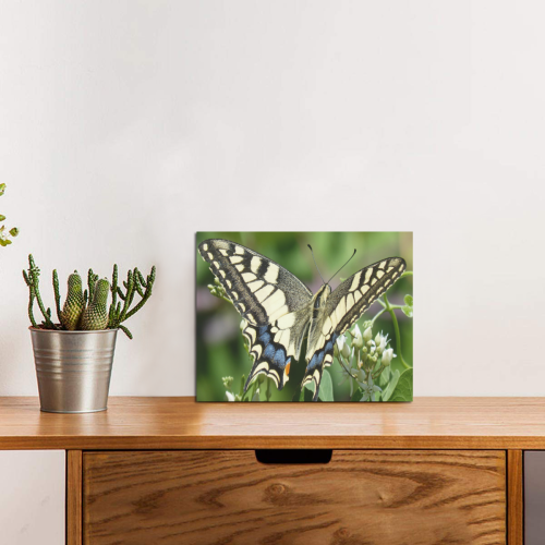 Butterfly 2 Photo Panel for Tabletop Display 8"x6"