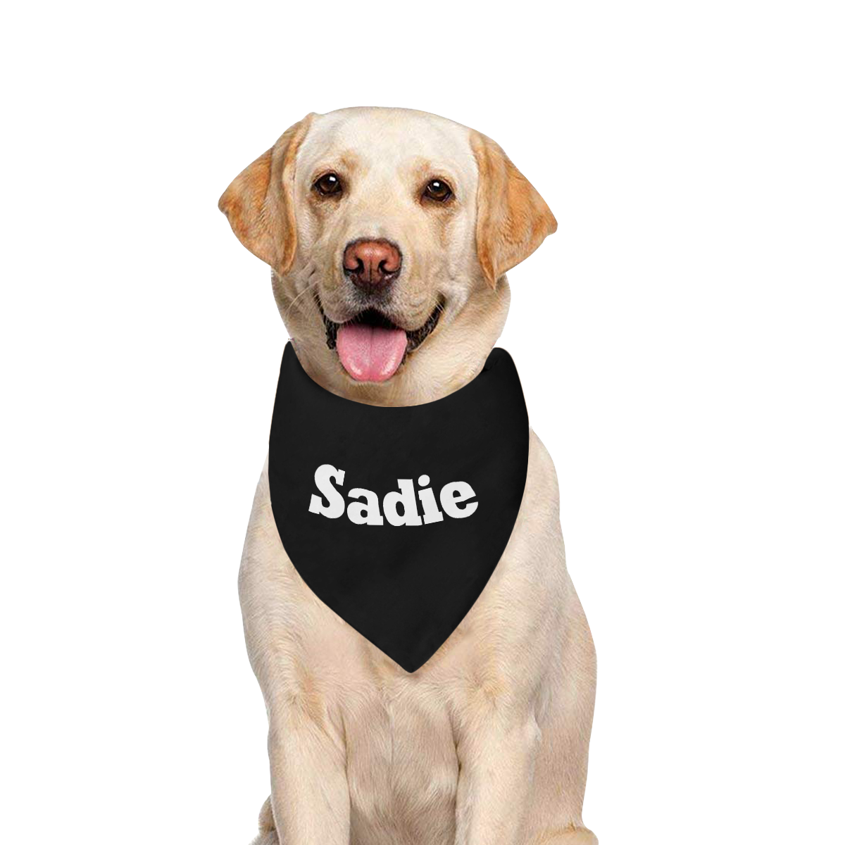 Sadie Pattern by K.Merske Pet Dog Bandana/Large Size
