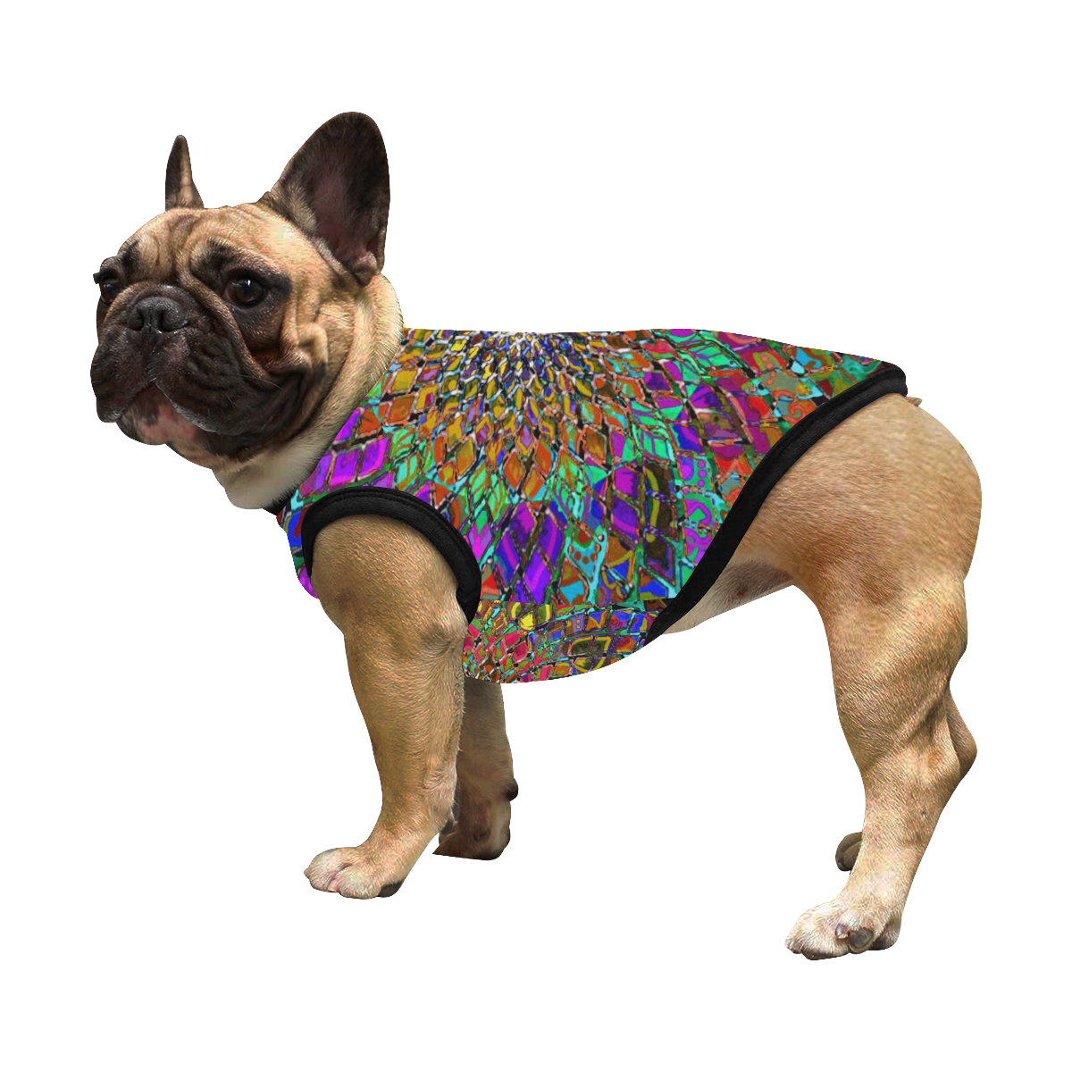 oeil 2 All Over Print Pet Tank Top