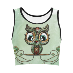 Cute little owl, diamonds Women's Crop Top (Model T42)