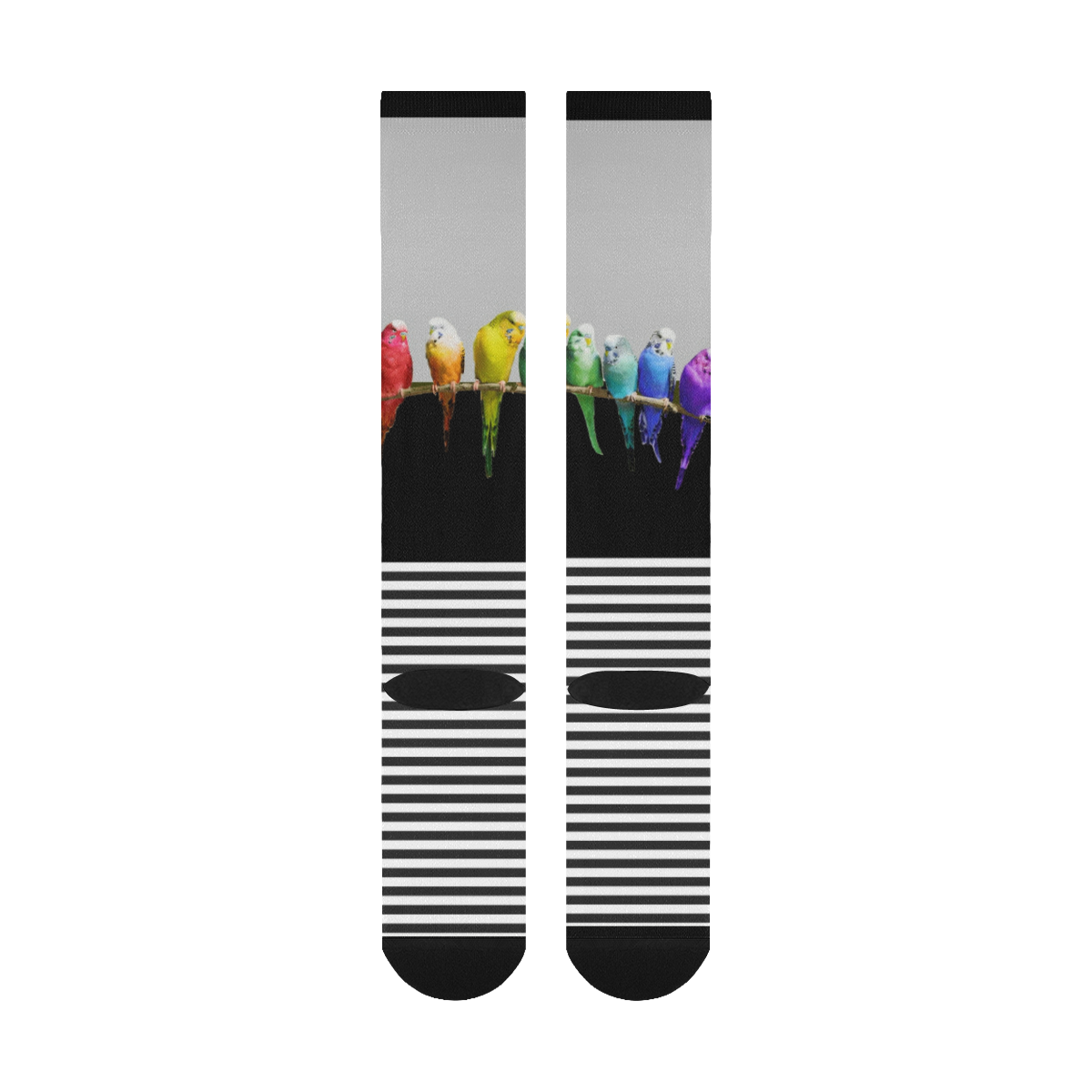 Rainbow Budgies Over-The-Calf Socks