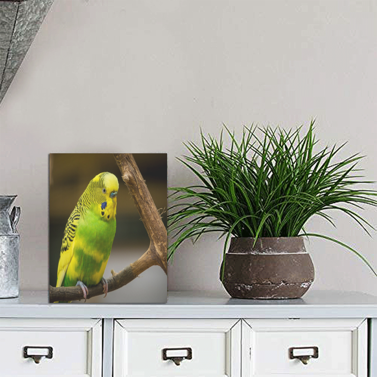Pretty Parakeet Photo Panel for Tabletop Display 6"x8"
