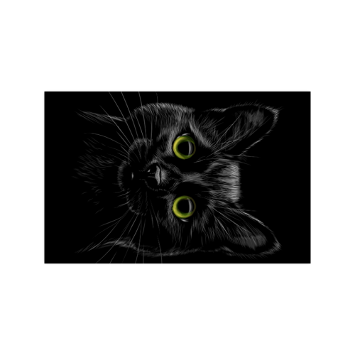 Black Cat Poster 11"x17"