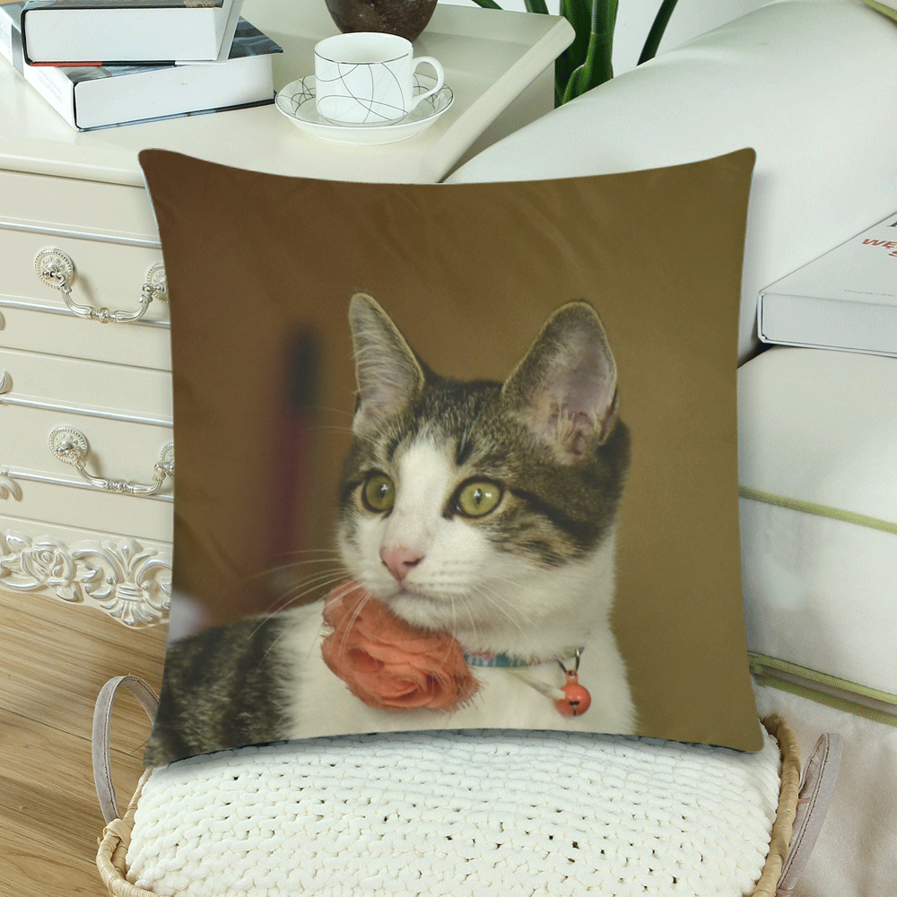 The young cat named Dante - Isabela Puerto Rico - ID:DSC0242 Custom Zippered Pillow Cases 18"x 18" (Twin Sides) (Set of 2)